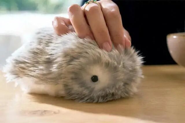 缓解压力的卡西欧毛绒机器人Moflin即将登陆美国市场(图1)